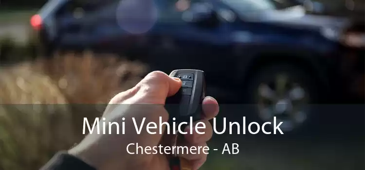 Mini Vehicle Unlock Chestermere - AB
