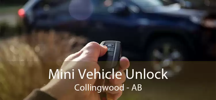 Mini Vehicle Unlock Collingwood - AB