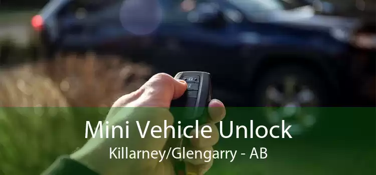 Mini Vehicle Unlock Killarney/Glengarry - AB