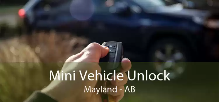 Mini Vehicle Unlock Mayland - AB