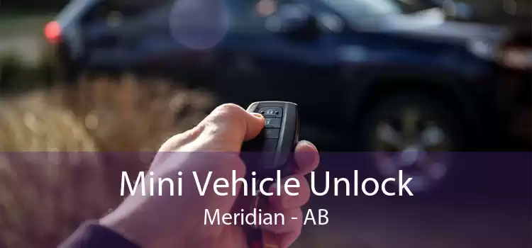 Mini Vehicle Unlock Meridian - AB