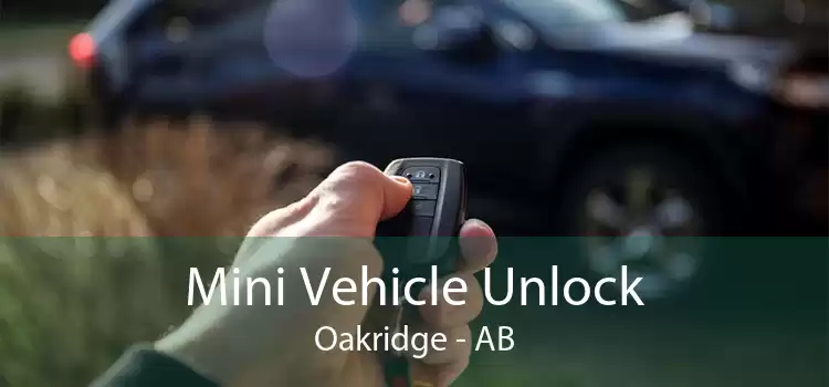 Mini Vehicle Unlock Oakridge - AB