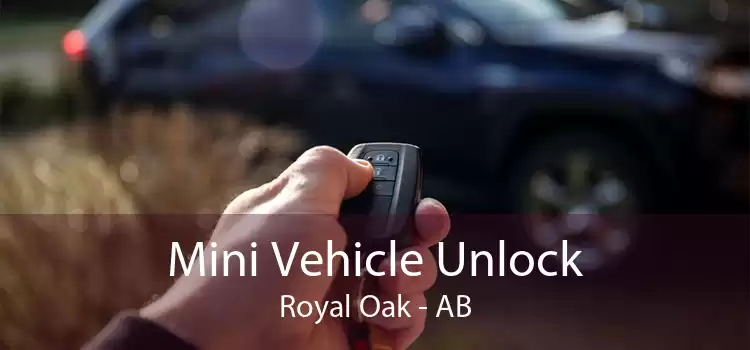 Mini Vehicle Unlock Royal Oak - AB