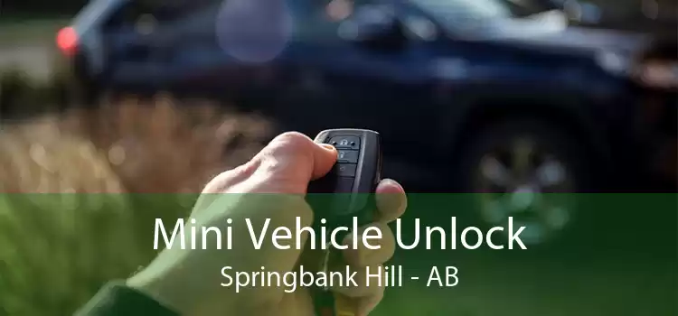 Mini Vehicle Unlock Springbank Hill - AB