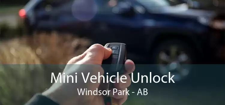 Mini Vehicle Unlock Windsor Park - AB