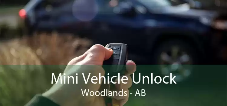 Mini Vehicle Unlock Woodlands - AB