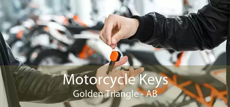 Motorcycle Keys Golden Triangle - AB