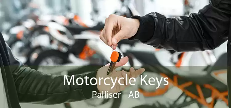 Motorcycle Keys Palliser - AB