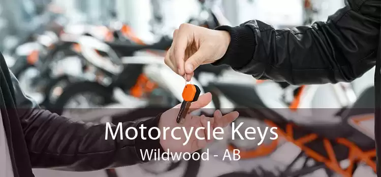 Motorcycle Keys Wildwood - AB