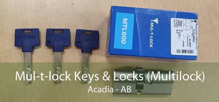 Mul-t-lock Keys & Locks (Multilock) Acadia - AB