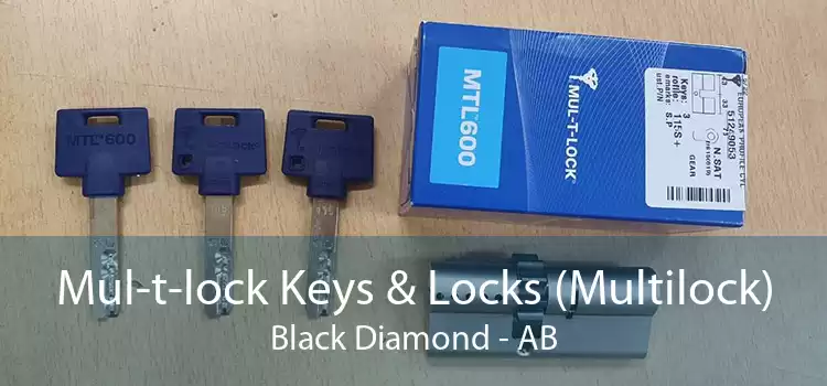 Mul-t-lock Keys & Locks (Multilock) Black Diamond - AB