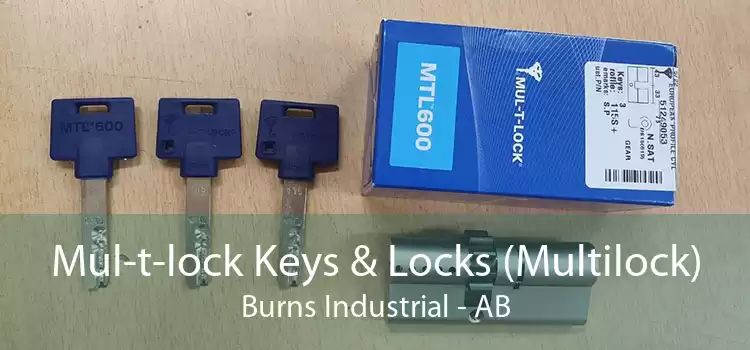Mul-t-lock Keys & Locks (Multilock) Burns Industrial - AB