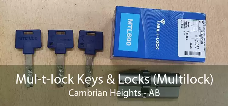 Mul-t-lock Keys & Locks (Multilock) Cambrian Heights - AB