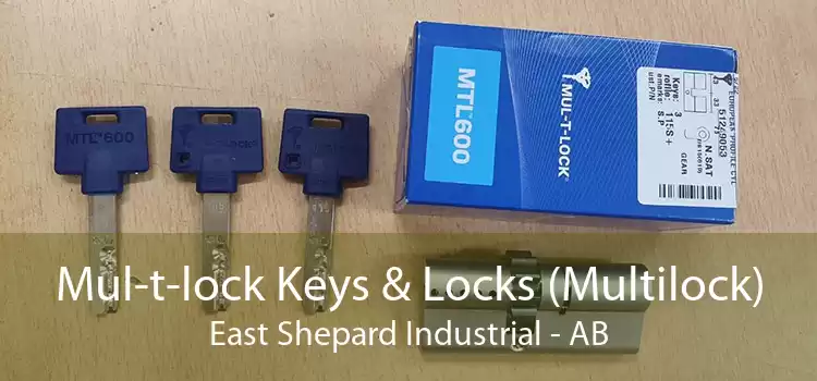 Mul-t-lock Keys & Locks (Multilock) East Shepard Industrial - AB