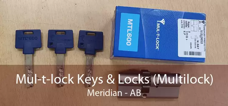 Mul-t-lock Keys & Locks (Multilock) Meridian - AB