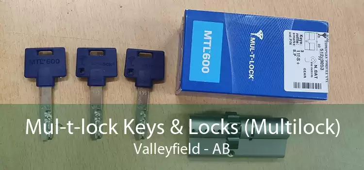 Mul-t-lock Keys & Locks (Multilock) Valleyfield - AB