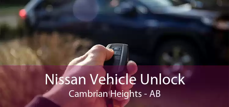 Nissan Vehicle Unlock Cambrian Heights - AB