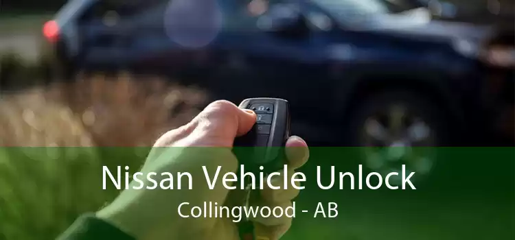 Nissan Vehicle Unlock Collingwood - AB