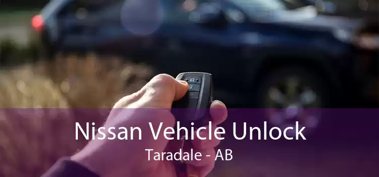 Nissan Vehicle Unlock Taradale - AB