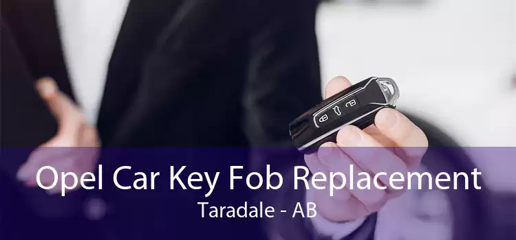 Opel Car Key Fob Replacement Taradale - AB
