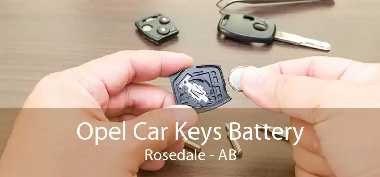 Opel Car Keys Battery Rosedale - AB