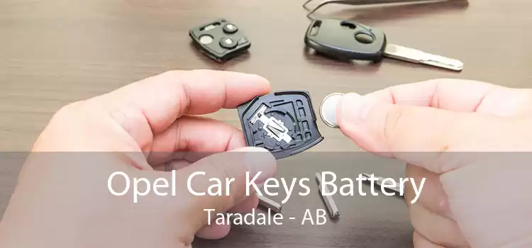 Opel Car Keys Battery Taradale - AB