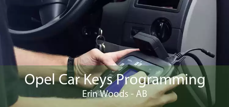 Opel Car Keys Programming Erin Woods - AB