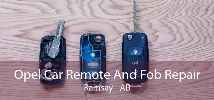 Opel Car Remote And Fob Repair Ramsay - AB