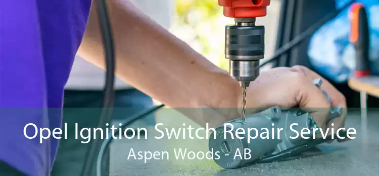 Opel Ignition Switch Repair Service Aspen Woods - AB