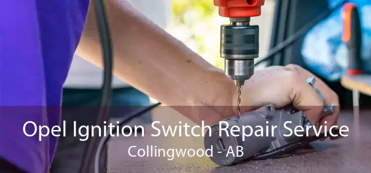 Opel Ignition Switch Repair Service Collingwood - AB