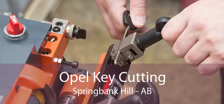 Opel Key Cutting Springbank Hill - AB