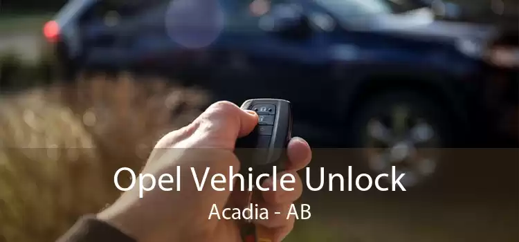 Opel Vehicle Unlock Acadia - AB