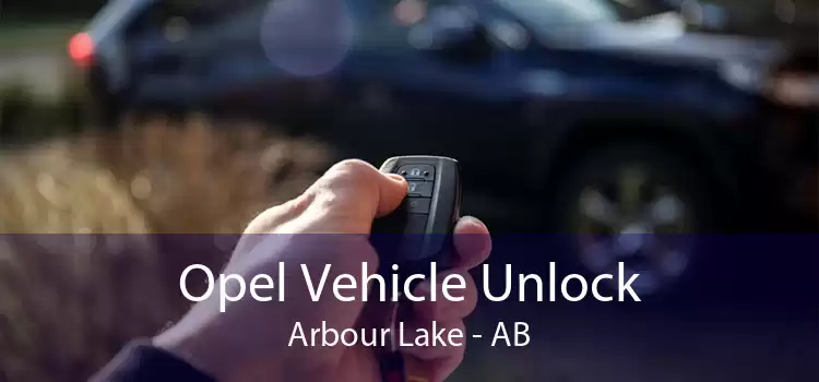 Opel Vehicle Unlock Arbour Lake - AB