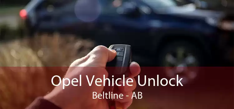 Opel Vehicle Unlock Beltline - AB