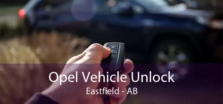 Opel Vehicle Unlock Eastfield - AB