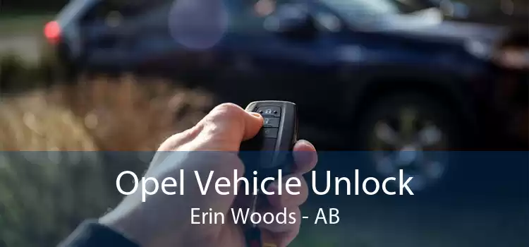 Opel Vehicle Unlock Erin Woods - AB