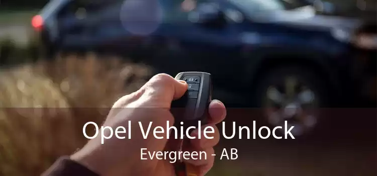 Opel Vehicle Unlock Evergreen - AB