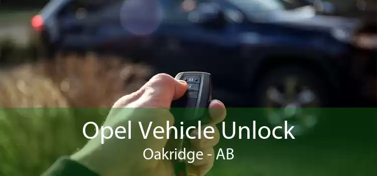 Opel Vehicle Unlock Oakridge - AB