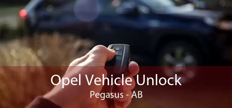 Opel Vehicle Unlock Pegasus - AB