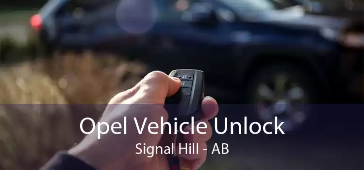 Opel Vehicle Unlock Signal Hill - AB