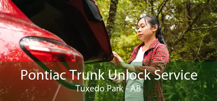 Pontiac Trunk Unlock Service Tuxedo Park - AB