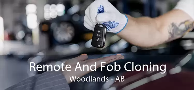 Remote And Fob Cloning Woodlands - AB