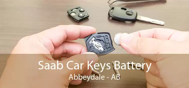 Saab Car Keys Battery Abbeydale - AB