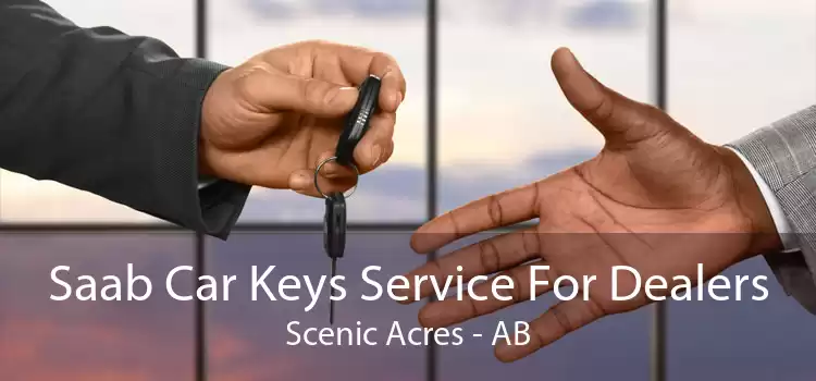 Saab Car Keys Service For Dealers Scenic Acres - AB