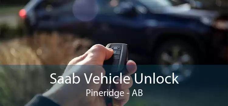Saab Vehicle Unlock Pineridge - AB