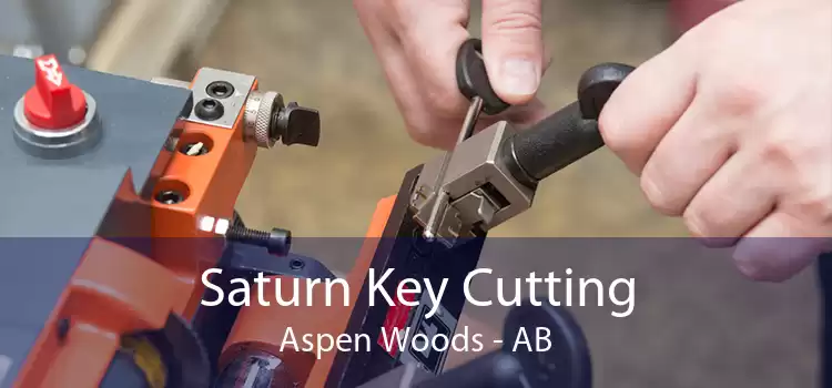 Saturn Key Cutting Aspen Woods - AB