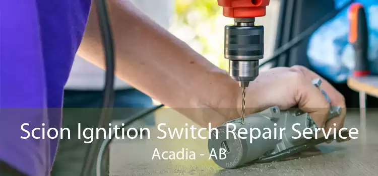 Scion Ignition Switch Repair Service Acadia - AB