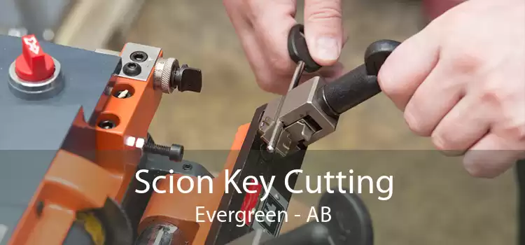 Scion Key Cutting Evergreen - AB