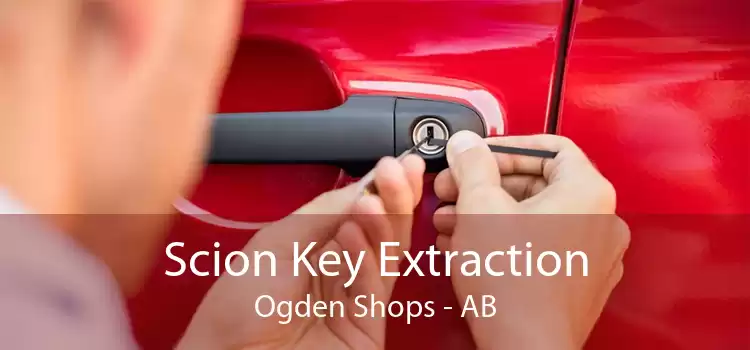 Scion Key Extraction Ogden Shops - AB