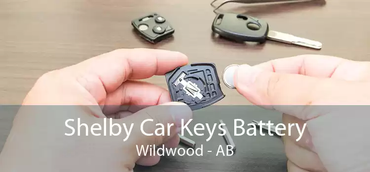 Shelby Car Keys Battery Wildwood - AB